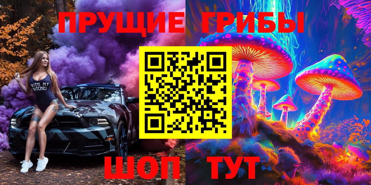 Гурьевск  Псилоцибиновые грибы GOLDEN TEACHER  Вход с VPN 