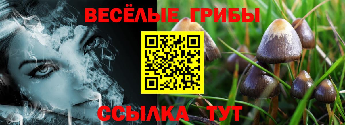 Галлюциногенные грибы ЛСД Гурьевск